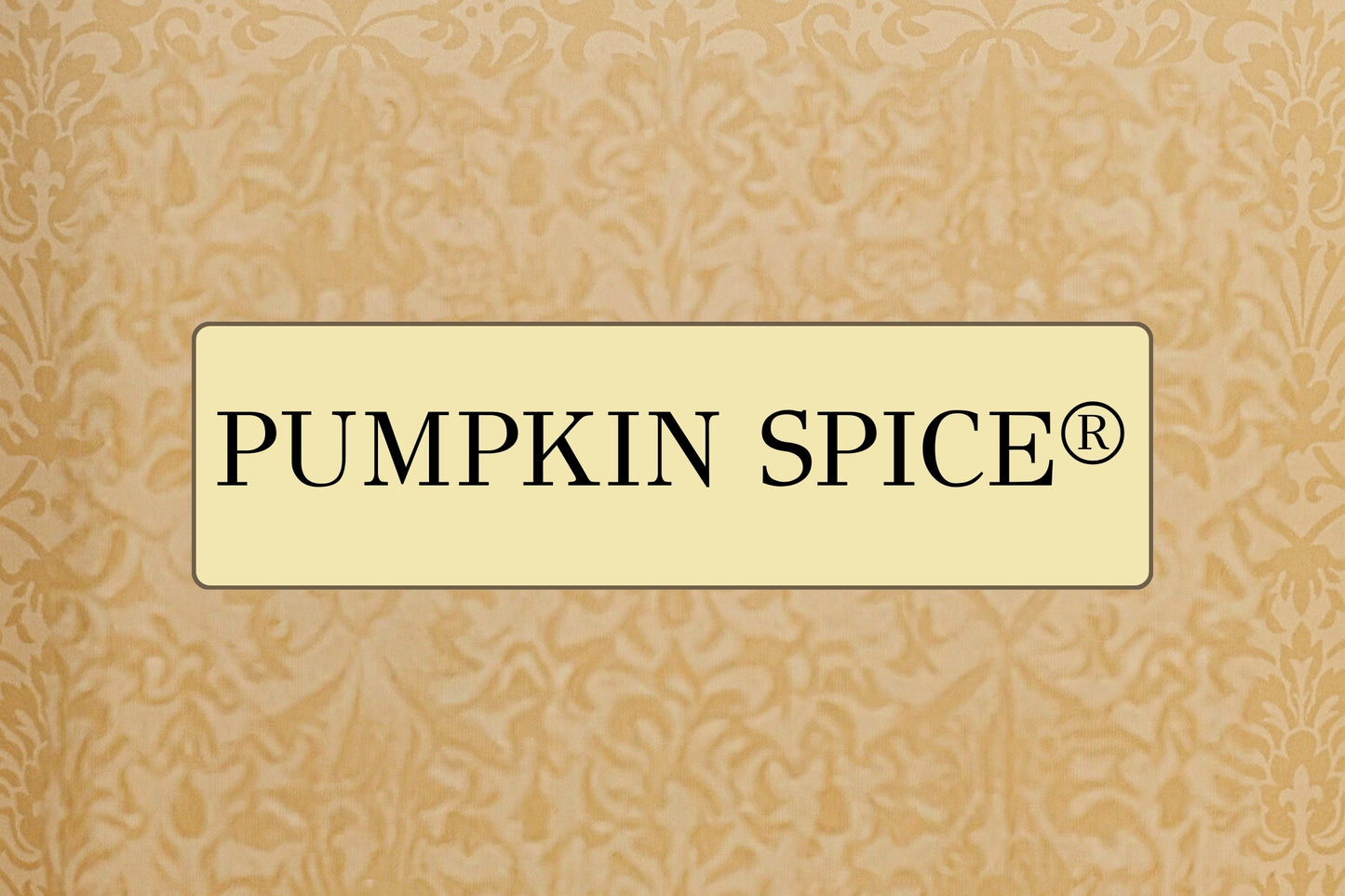 Tyler Candle Co. 11 oz prestige candle Pumpkin Spice scent at Cowgirls & Lace
