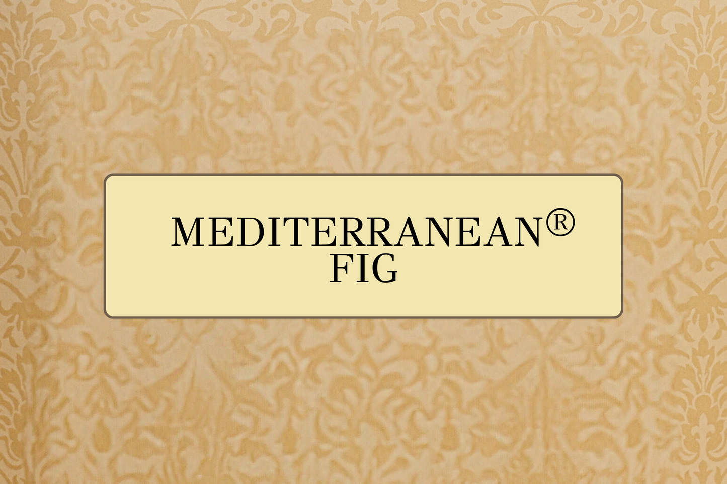 Prestige Candle by Tyler Candle Company – 11 oz – Mediterranean Fig
