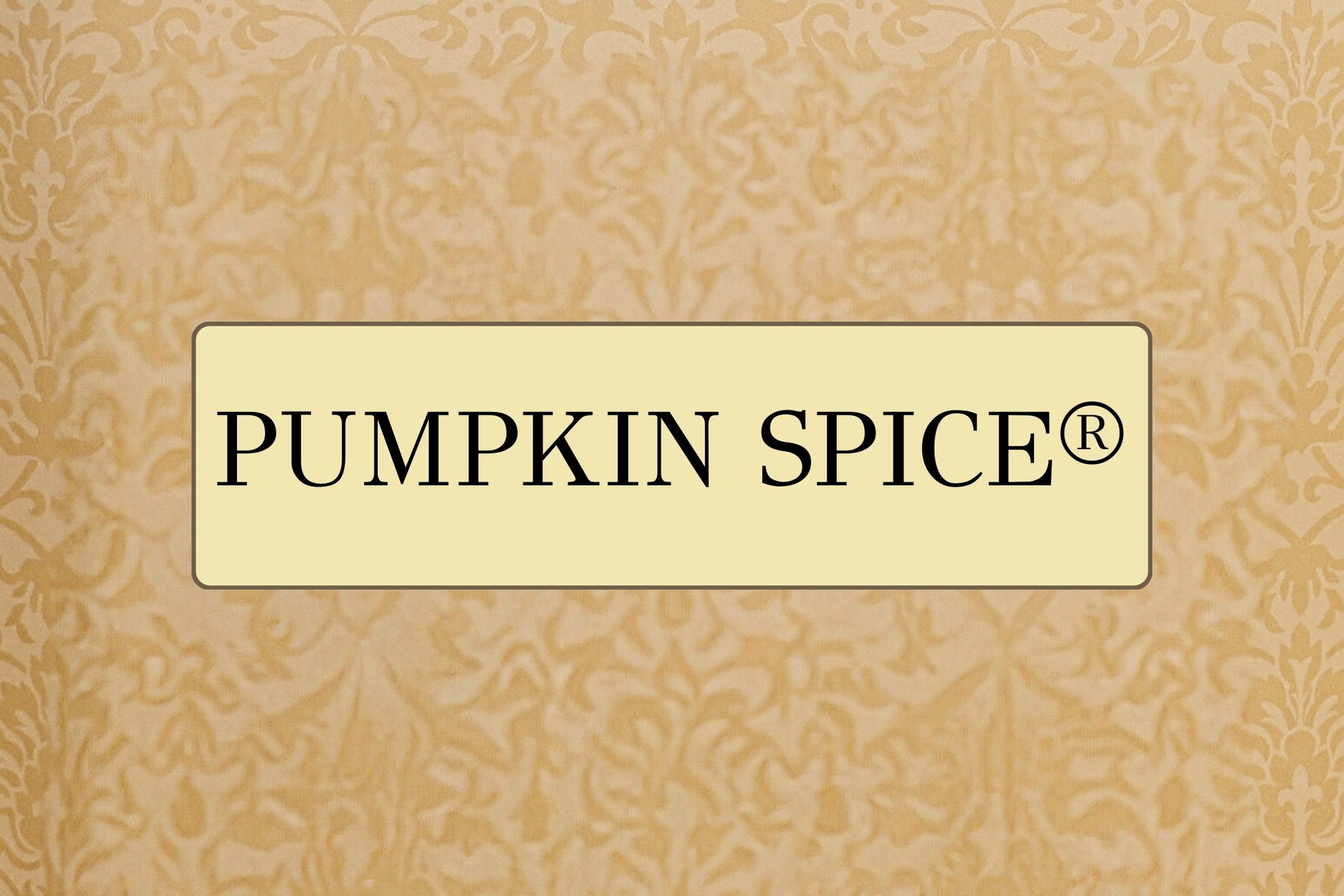 Tyler Candle Co. 11 oz prestige candle Pumpkin Spice scent at Cowgirls & Lace