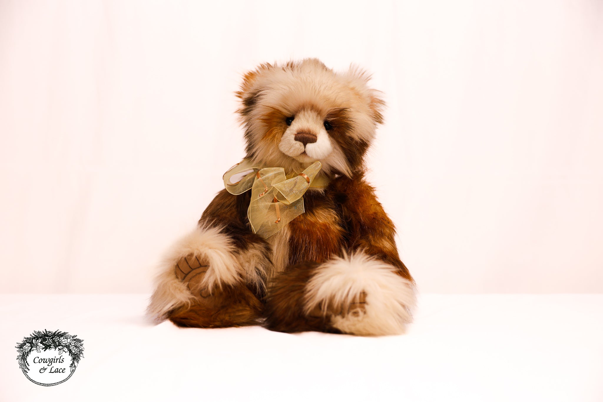 ୨୧チャーリー Charlie Bears “Annie Versary” Collectible Plush Teddy Bear
